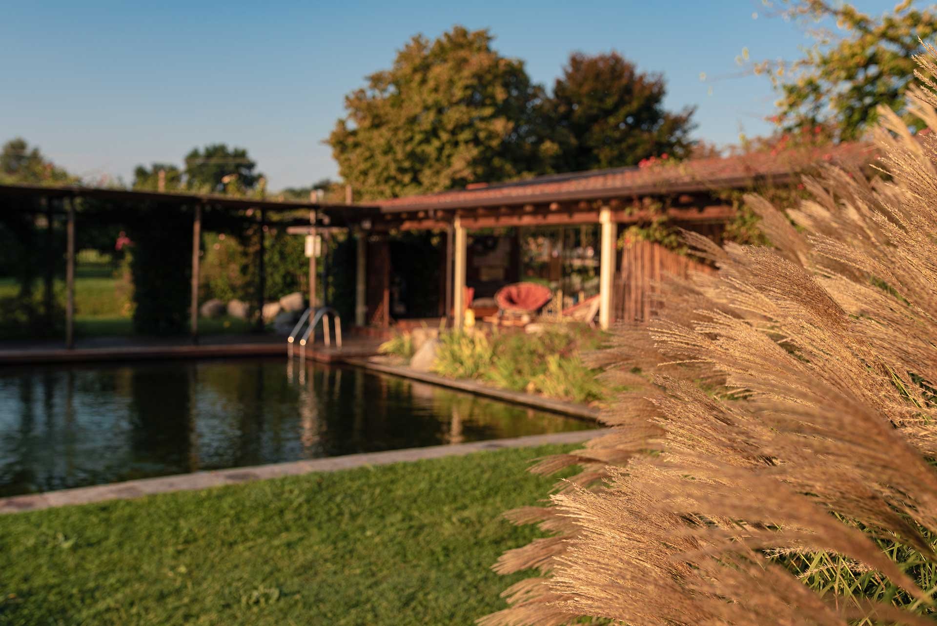 Panorama verde attorno al biolago